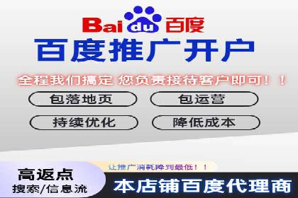SEM优化策略案例分析